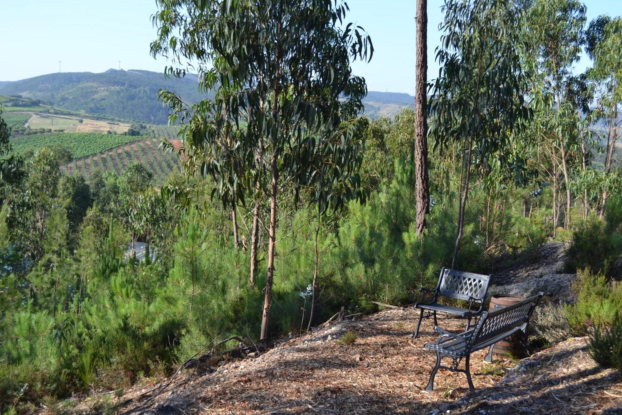 Mountview Villa Alenquer Eksteriør billede